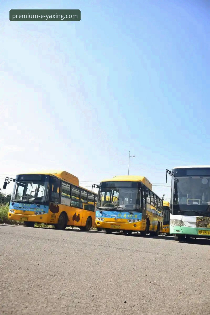 亚星体育平台发布官方购车咨询工具最新动态：一键直达亚星客车核心服务